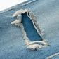 DENIM PAINTER PANTS with Kurry